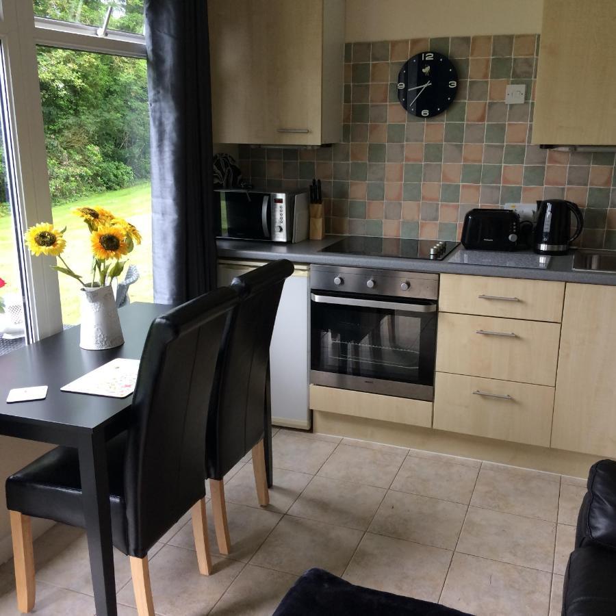 Villa Bumblebee à Dartmouth Extérieur photo