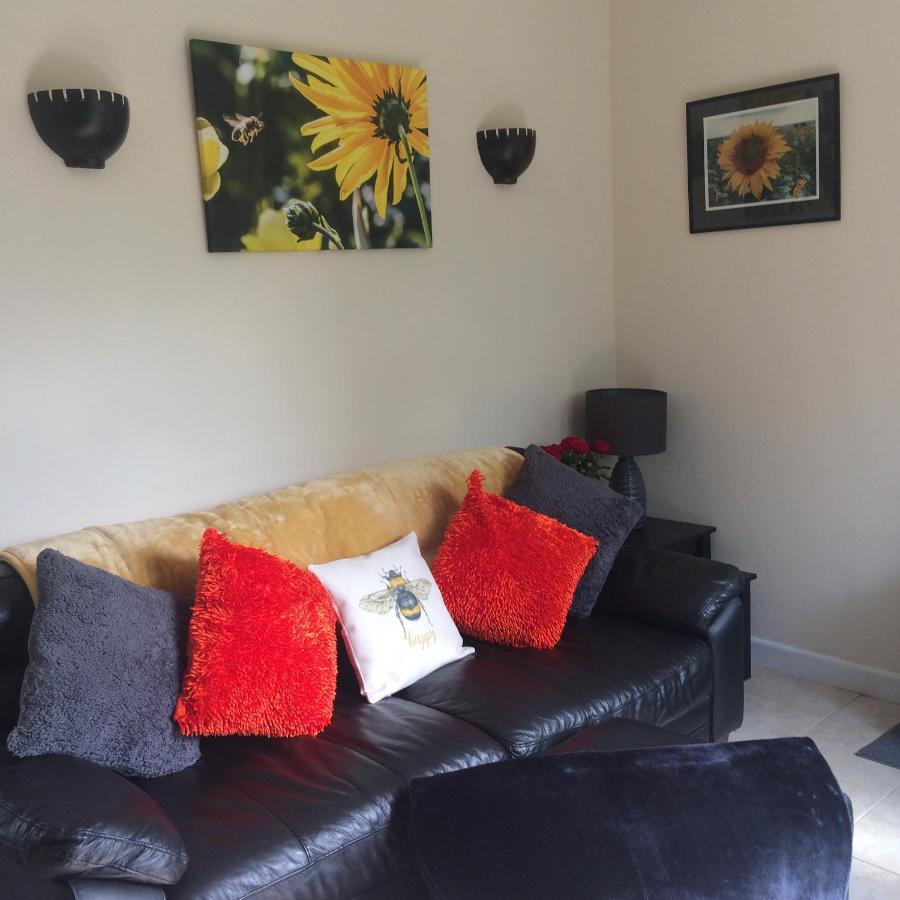 Villa Bumblebee à Dartmouth Extérieur photo