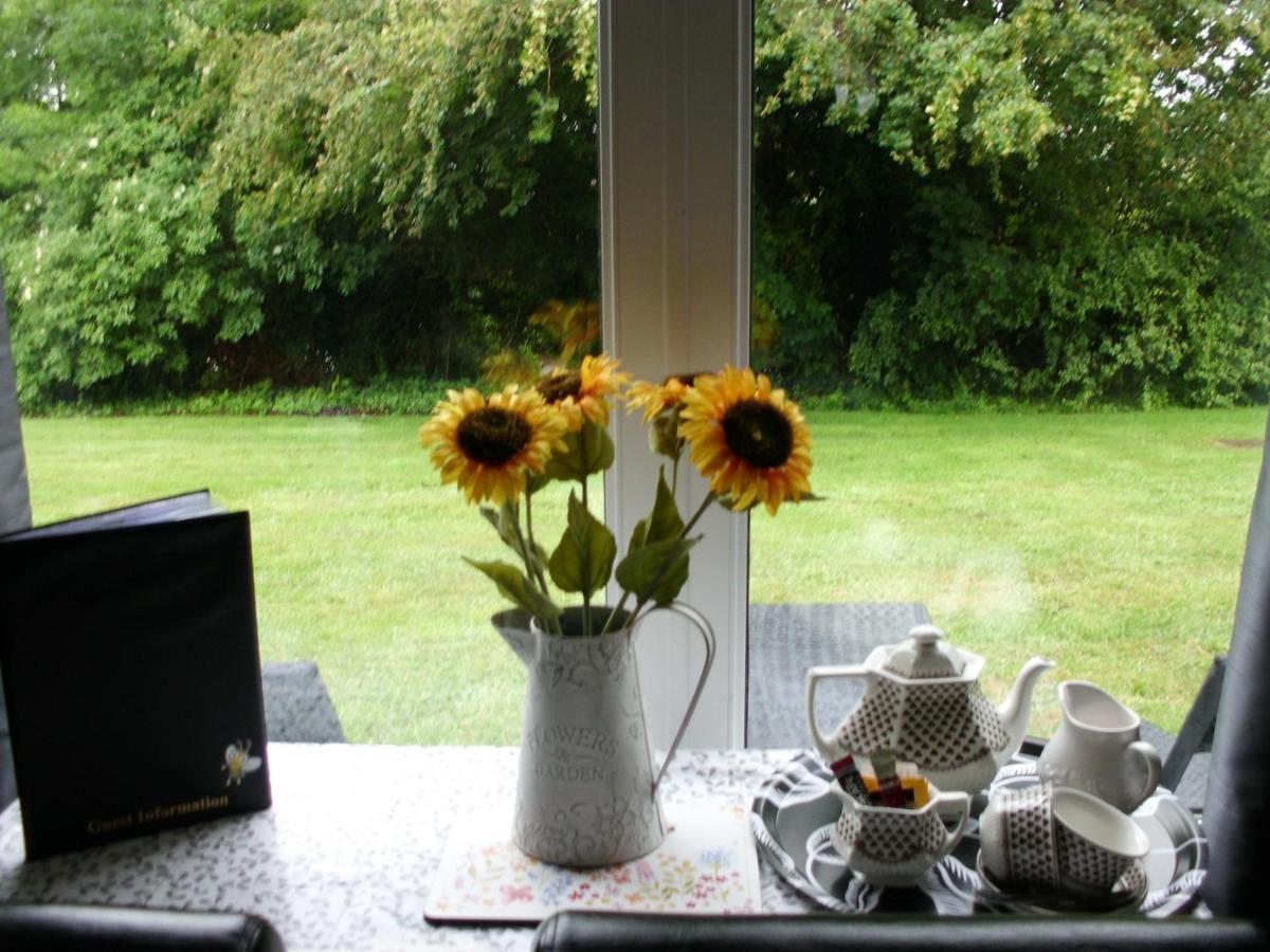 Villa Bumblebee à Dartmouth Extérieur photo